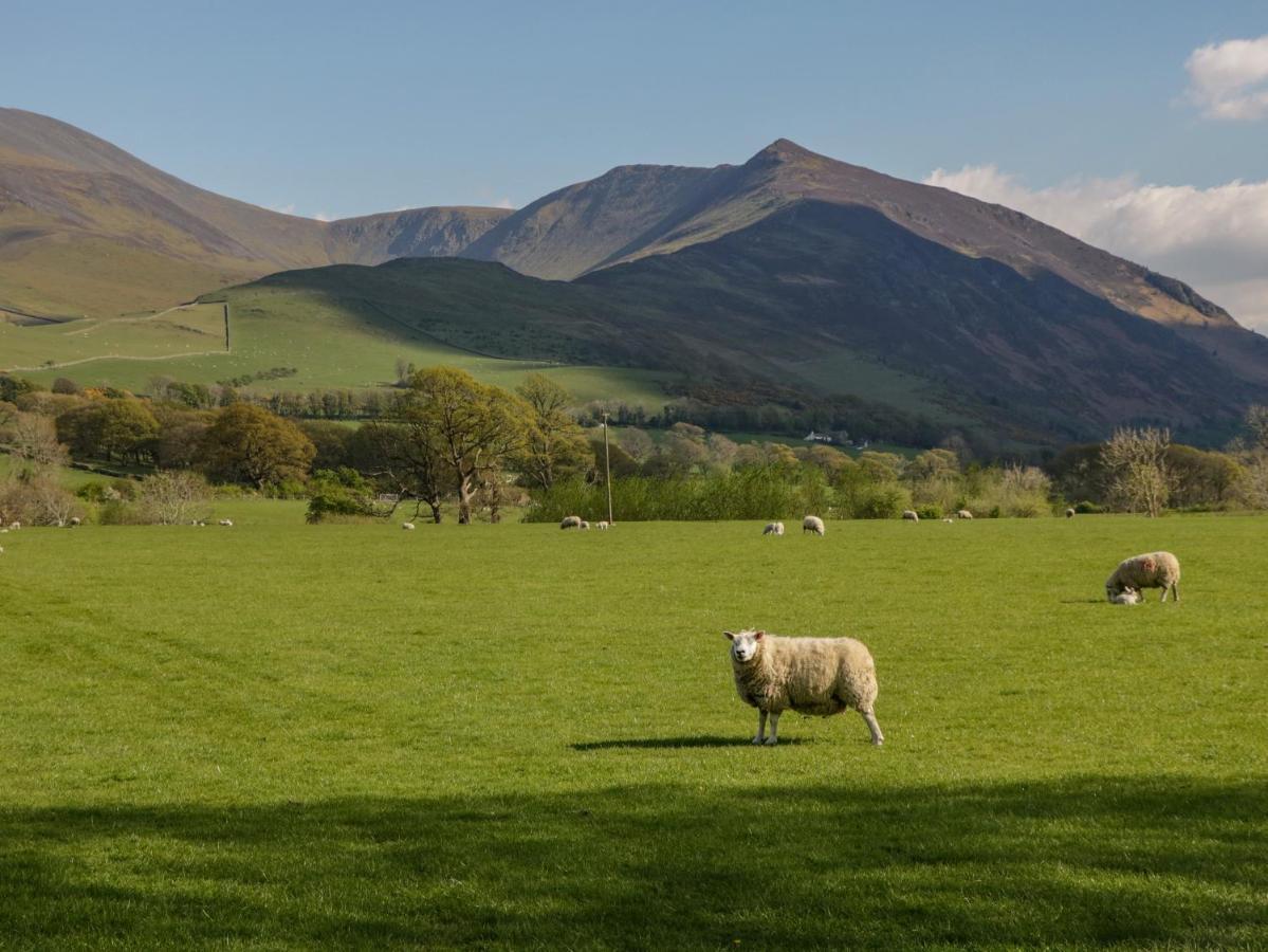 Swaledale Watch Garden Annexe Villa Wigton ภายนอก รูปภาพ